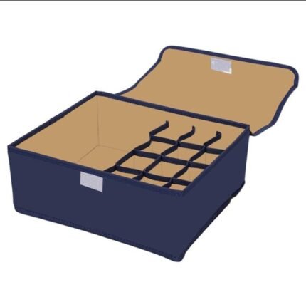 13-in-1 Undergarment and Socks Organizer